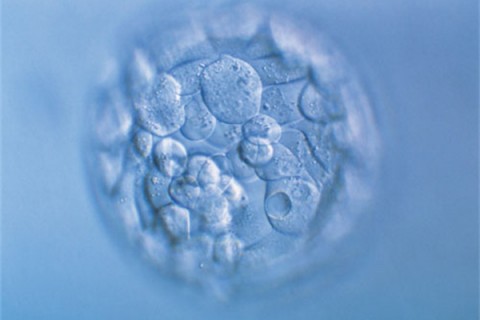 http://nanchang.quanwangkm.com/post/190.html|南昌人工试管